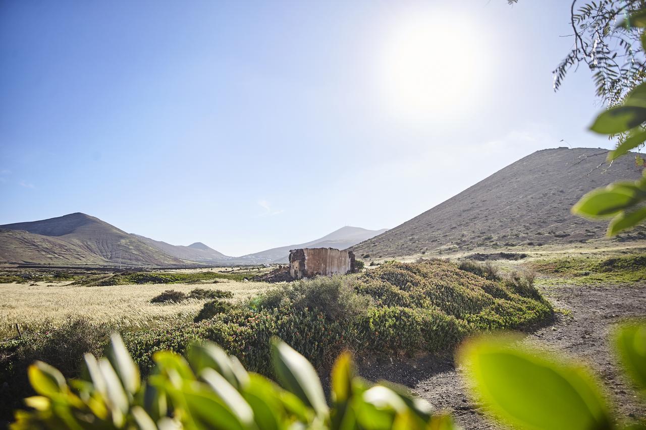 Uga Villa Palmeras Canarias المظهر الخارجي الصورة