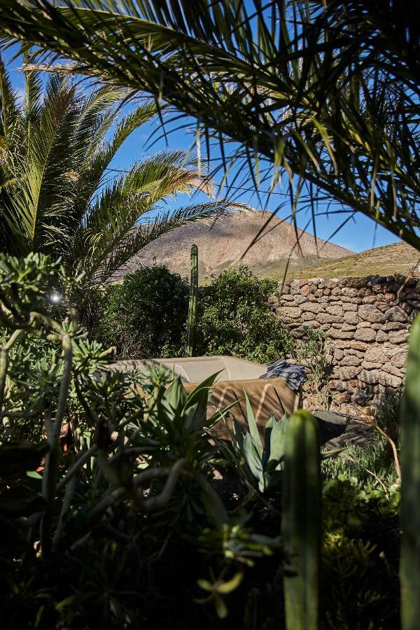 Uga Villa Palmeras Canarias المظهر الخارجي الصورة